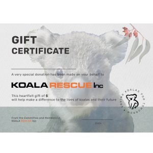 koala gift certificate